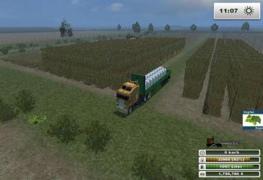 Porta Westfalica v1.0 Multifrucht