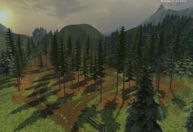 Silent Valley v4.0 forst