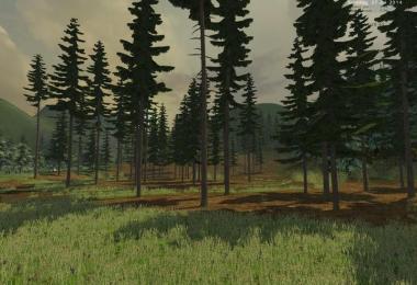 Silent Valley v4.0 forst