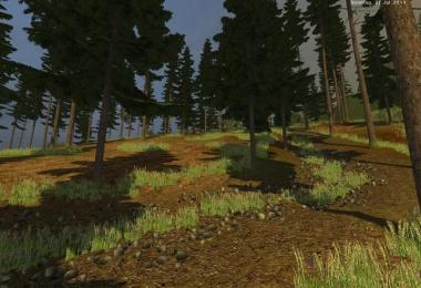 Silent Valley v4.0 forst