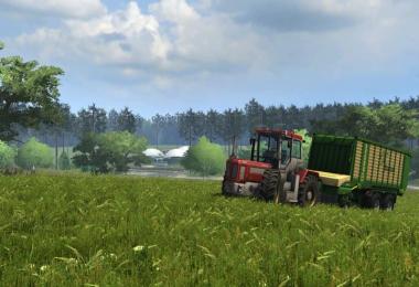 Small beauty village v1.1 Forst