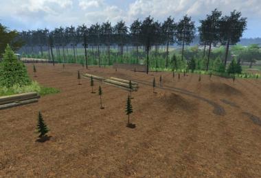 Small beauty village v1.1 Forst