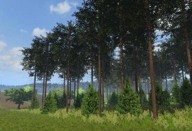 Small beauty village v1.1 Forst