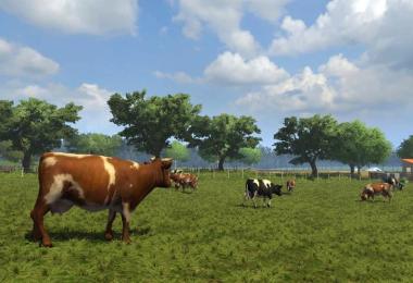 Small beauty village v1.1 Forst