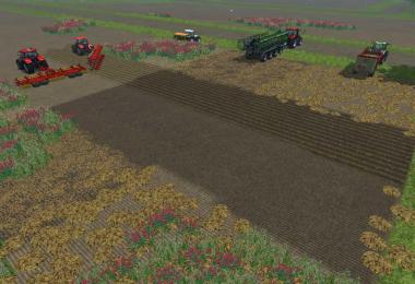 Soil Management & Growth Control v1.0