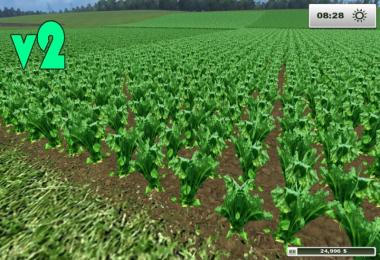 Sugarbeet texture HD v2.0