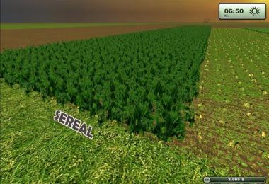Sugarbeet texture HD v2.0