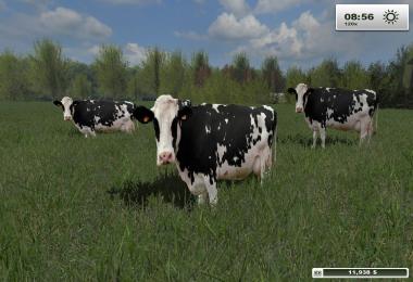 Bockowo 1992 by AgroGalaxyPL