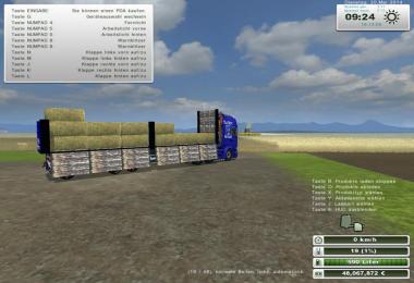 Flatbed East Side v2.0 Kran