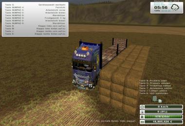 Flatbed East Side v2.0 Kran