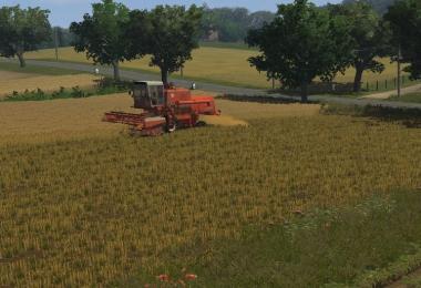 Forest Map v1.6 CHOPPED STRAW