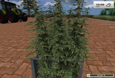 Textures Forest v1.0