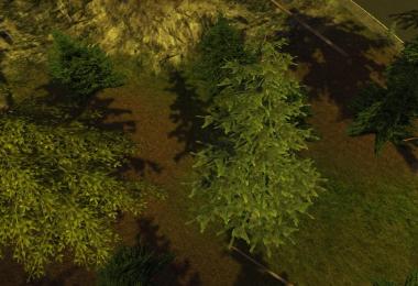 Textures Forest v1.0