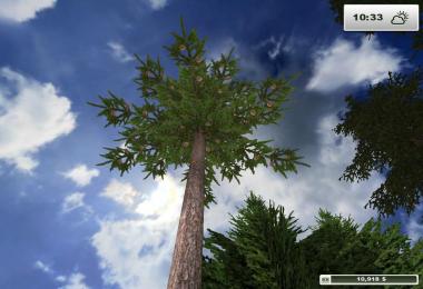 Textures Forest v1.0