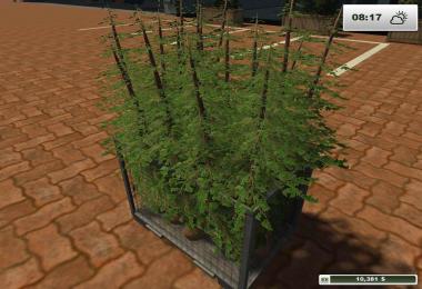 Textures Forest v1.0