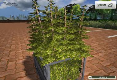 Textures Forest v1.0