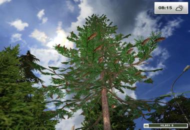 Textures Forest v1.0