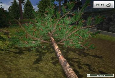 Textures Forest v1.0