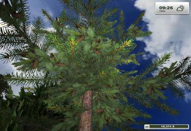 Textures Forest v1.0