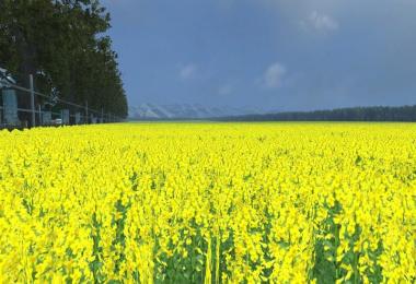 Agrarfrost Final Edition v9.5