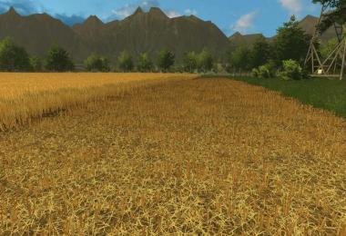 Brunzdorf v3.3 neue BGA