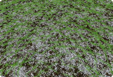 Cherkaschina v1.0 ChoppedStraw