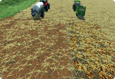 Cherkaschina v1.0 ChoppedStraw