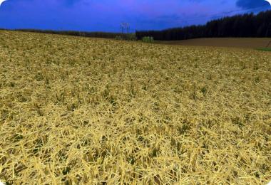 Cherkaschina v1.0 ChoppedStraw