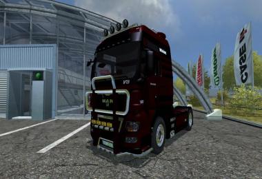 MAN TGX V8 v1.0
