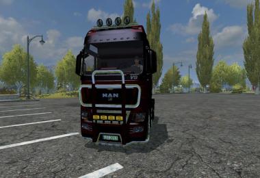 MAN TGX V8 v1.0
