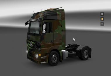Mercedes Actros Camo Skin