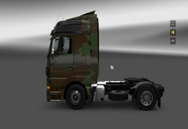 Mercedes Actros Camo Skin