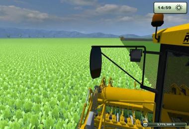 Paradise Final Edition v5.0