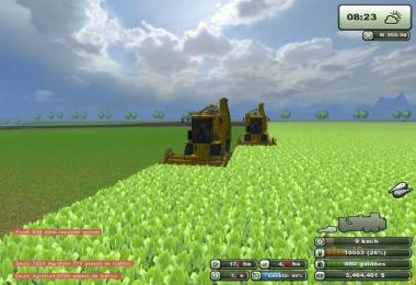 Paradise Final Edition v5.2