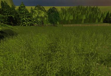 Baumgarten v1.0 beta