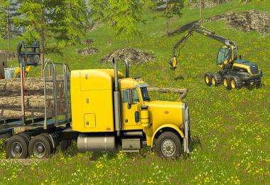 Peterbilt 378 v1.0