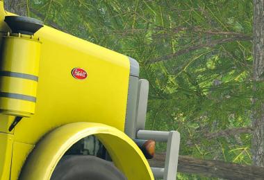 Peterbilt 378 v1.0