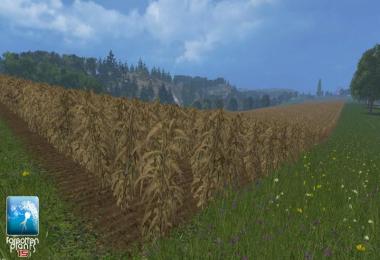 Maize Textures v1.0