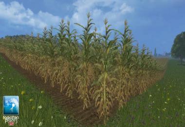 Maize Textures v1.0