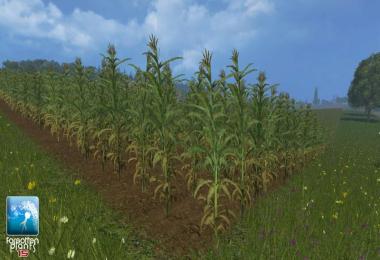 Maize Textures v1.0