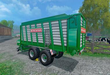 Bergmann CAREX 38 S v1.0