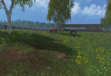 Bjorn Holm RELOADED v1.0