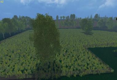 Forest of Dean MP v1.2