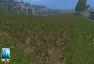 Forgotten Plants Potatoes v1.0