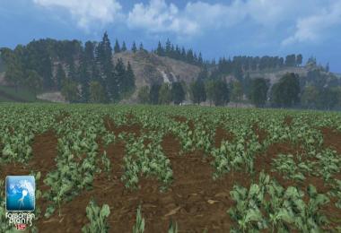 Forgotten Rape Plants v1.0