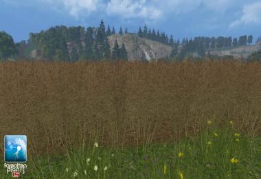 Forgotten Rape Plants v1.0