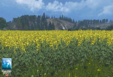 Forgotten Rape Plants v1.0