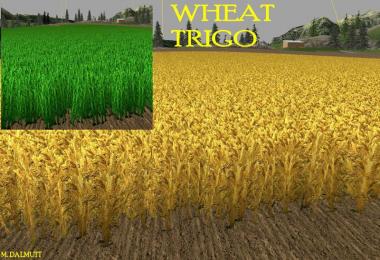 Nova texture wheat barley v1.0 mais
