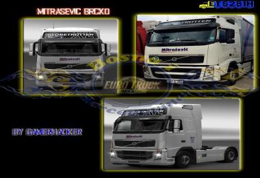 Volvo Mitrasevic Truck Skin