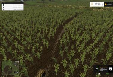 AgroNort v1.0